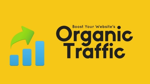 Website chuẩn SEO có lượng traffic tự nhiên cao hơn những website khác