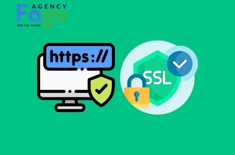 Cách kiểm tra và cài đặt SSL để tối ưu hóa hiệu suất website