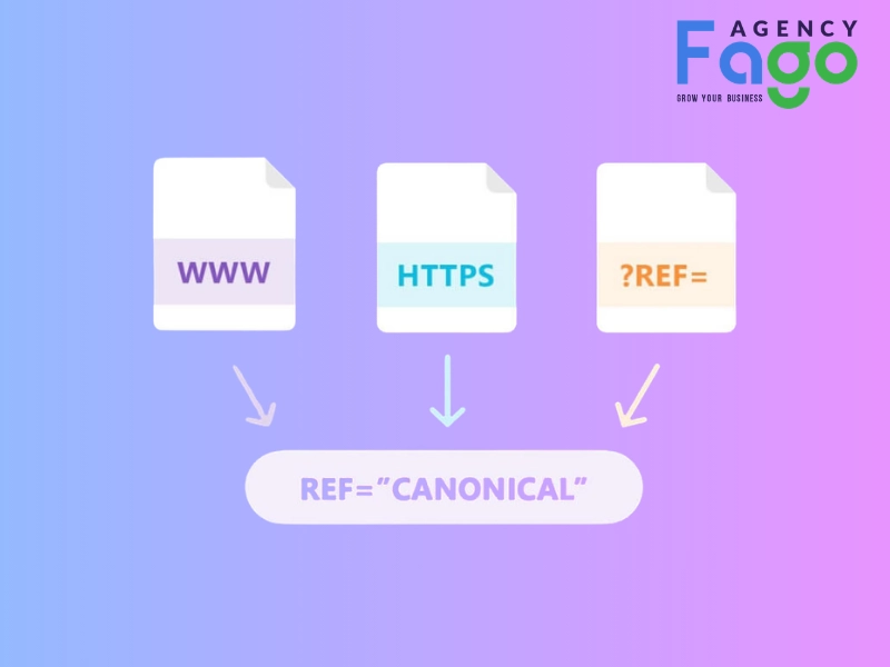 canonical tag