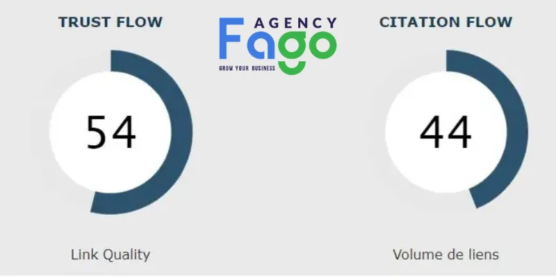 Sự khác biệt giữa Trust Flow và Citation Flow trong đánh giá website