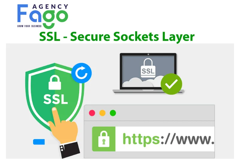 SSL là gì?