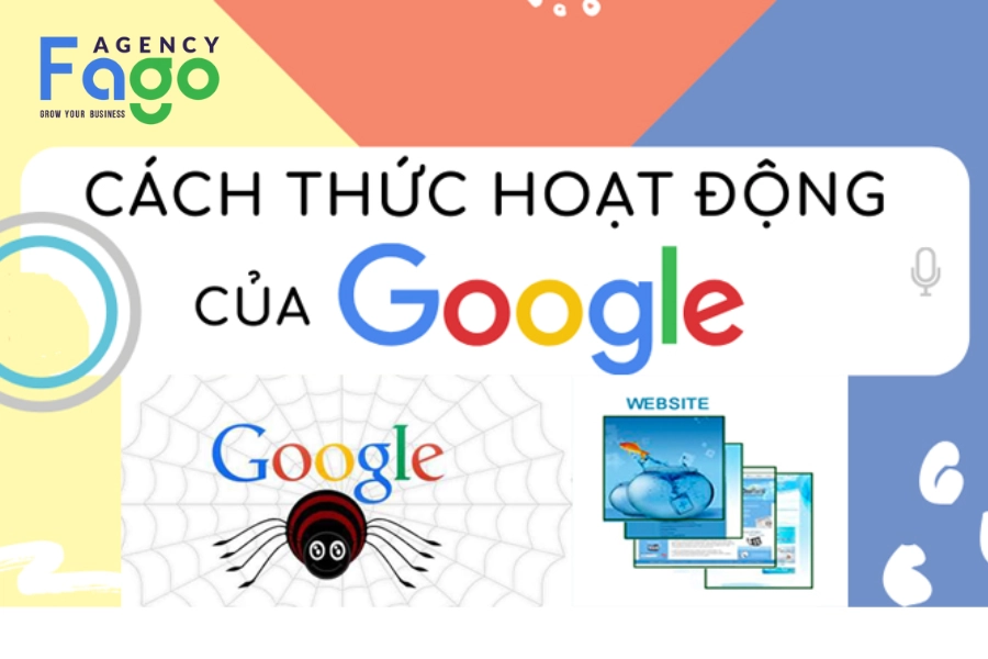 Lập Chiến Lược SEO Hiệu Quả Không Sợ Google Update 