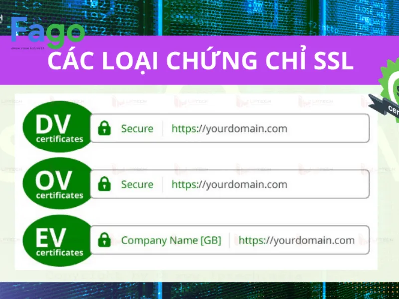 Phân loại các chứng chỉ SSL phổ biến nhất trên thị trường hiện nay