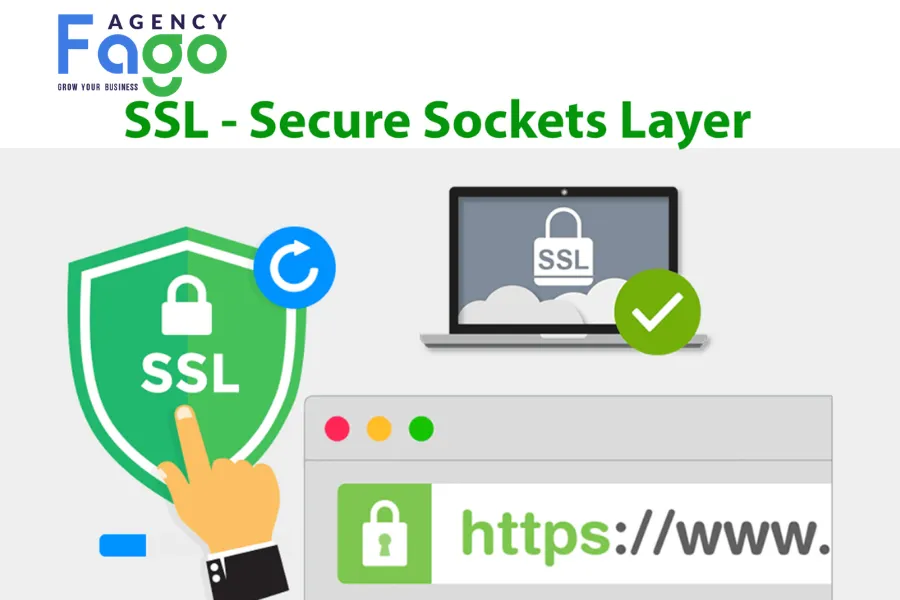SSL là gì? Tầm quan trọng của chứng chỉ SSL đối với Website và SEO