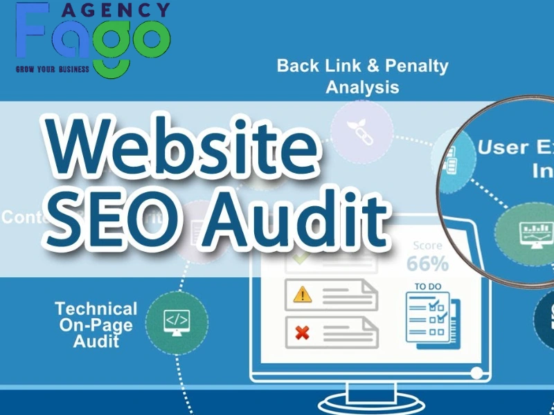 audit website là gì