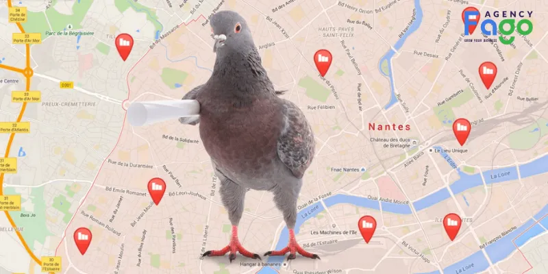 Chiến lược tối ưu Local SEO thích nghi với thuật toán Pigeon