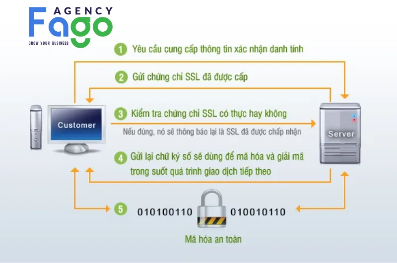 Cơ chế hoạt động của SSL giúp bảo vệ dữ liệu người dùng