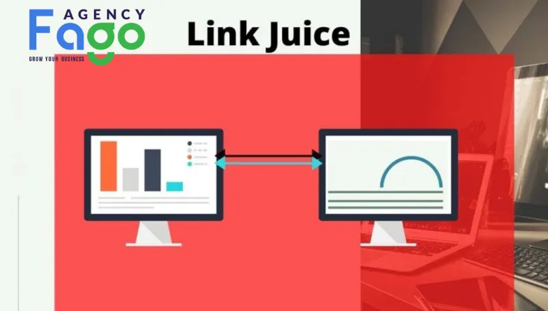 Các yếu tố then chốt quyết định giá trị của một dòng Link Juice