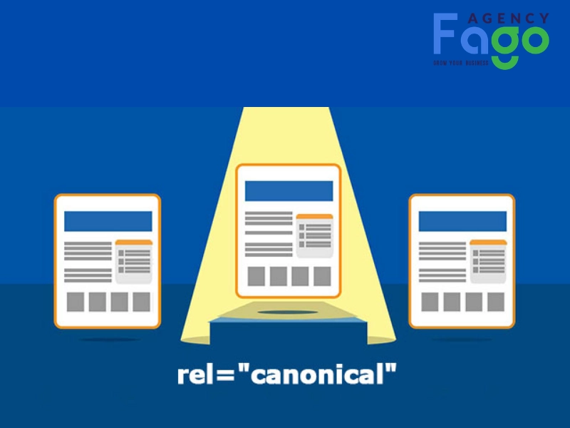 canonical là gì