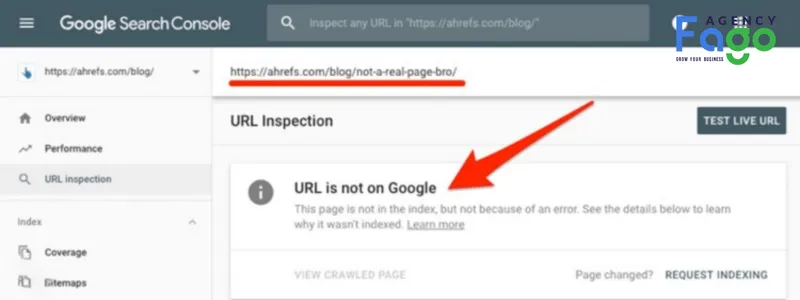 Nếu URL chưa được index, bạn sẽ thấy thông báo "URL không có trên Google"