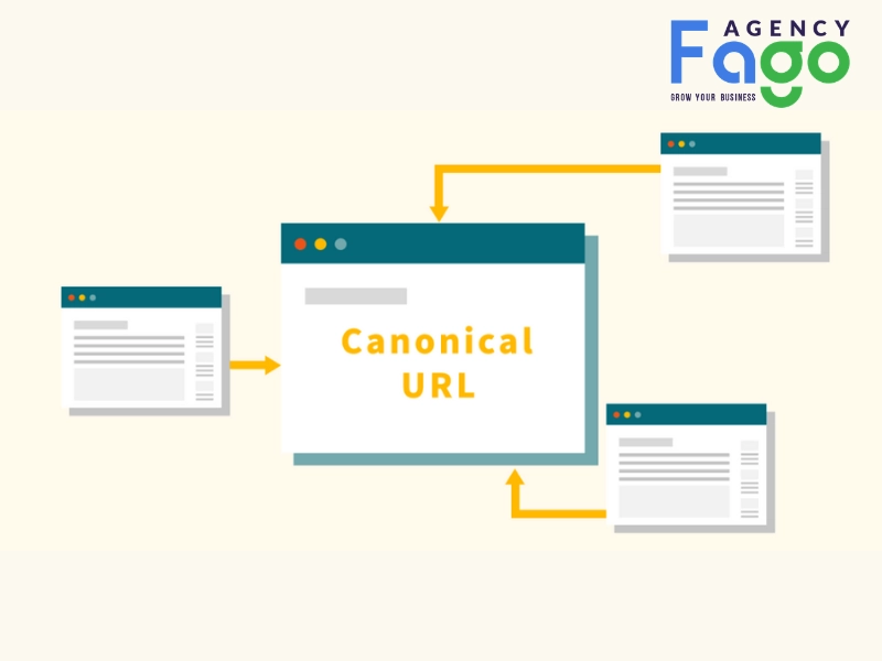 canonical là gì